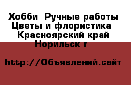 Хобби. Ручные работы Цветы и флористика. Красноярский край,Норильск г.